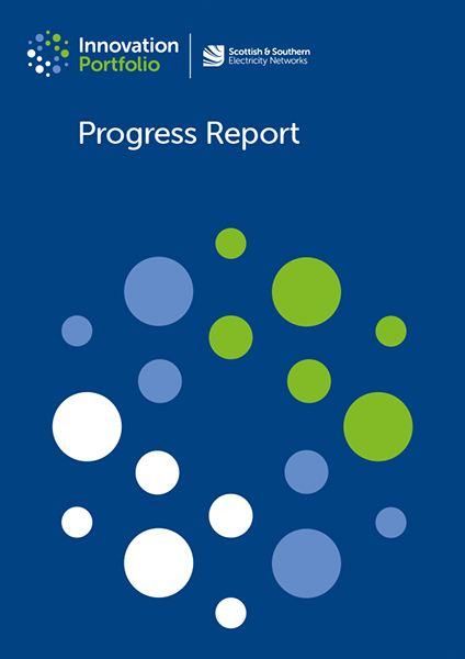 Project Progress Report 2020